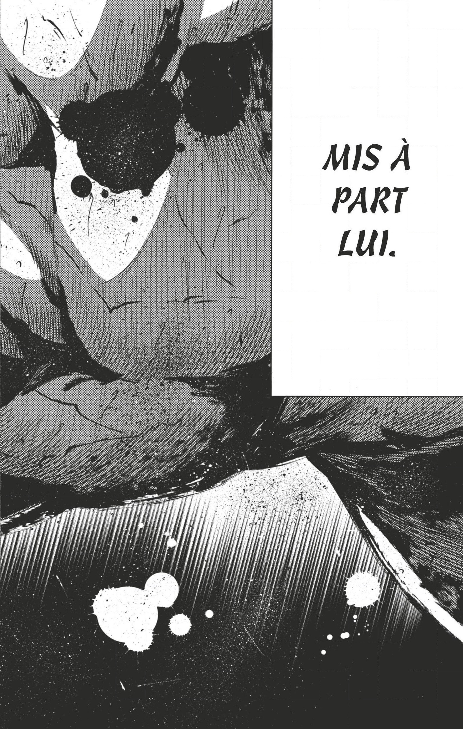 Read Hinomaru Zumou FR Manga Online