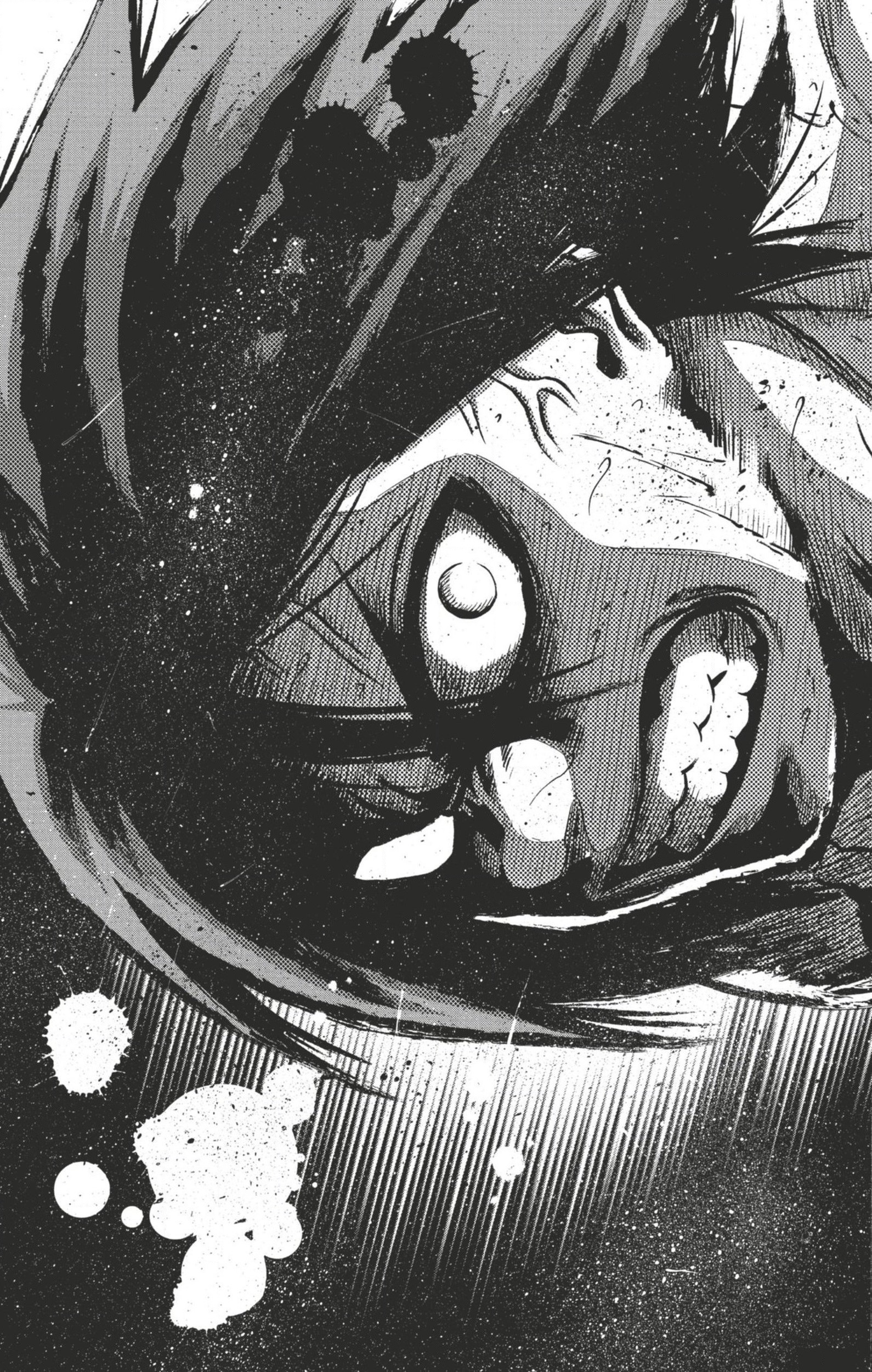 Read Hinomaru Zumou FR Manga Online