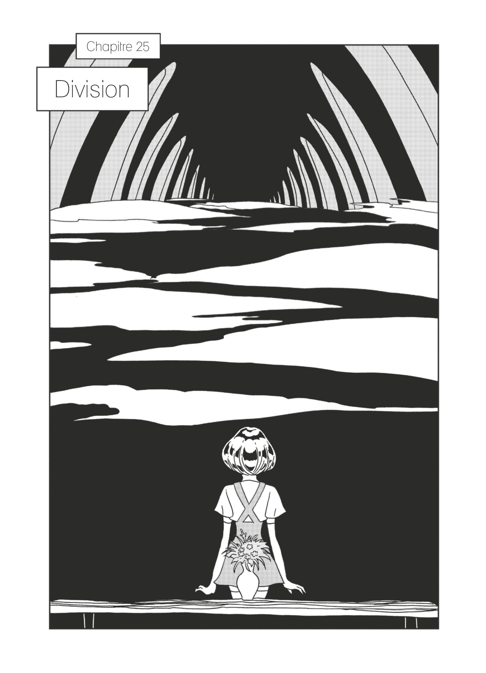 Read Houseki no Kuni FR Manga Online