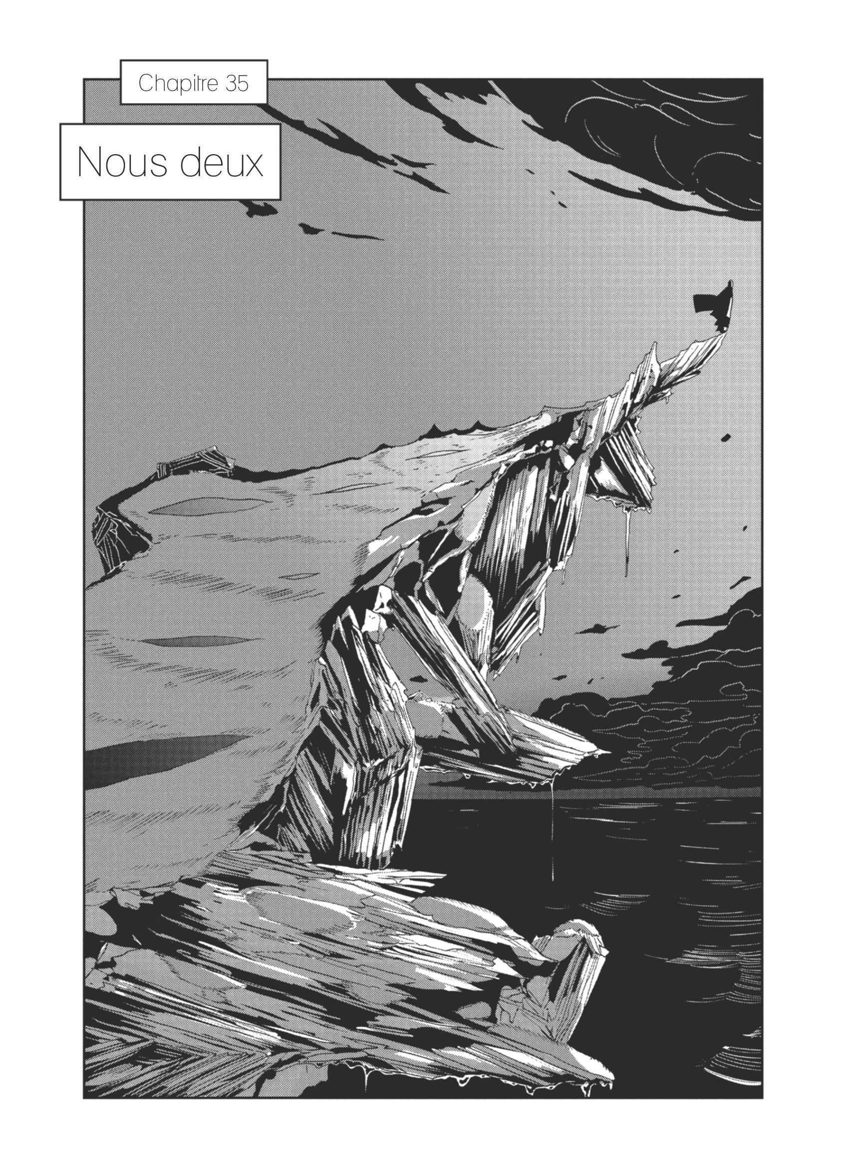 Read Houseki no Kuni FR Manga Online