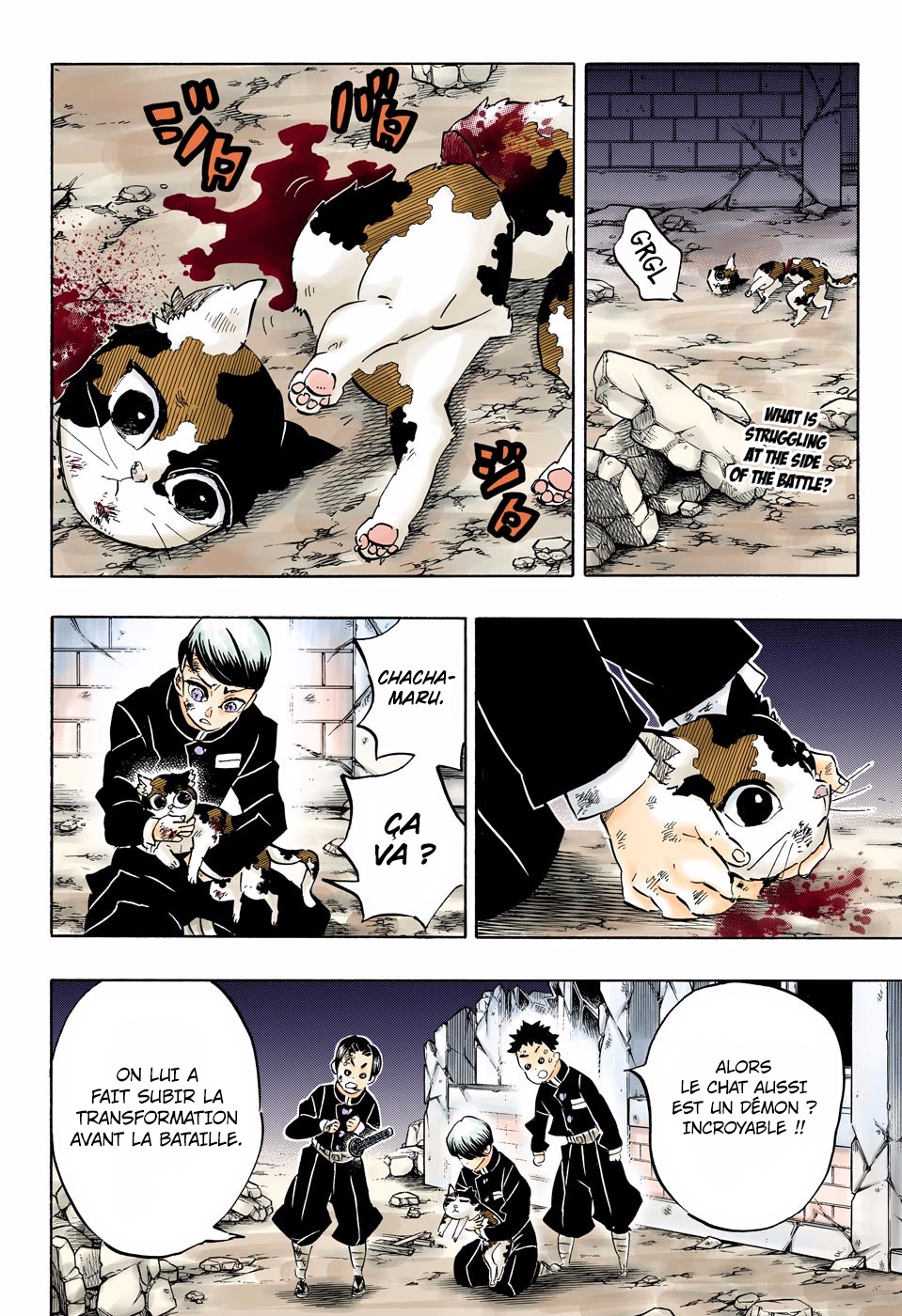 Read Kimetsu No Yaiba FR Manga Online