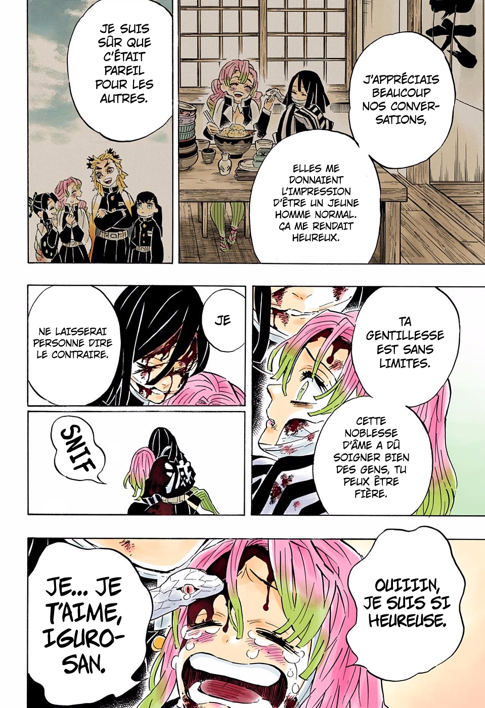 Read Kimetsu No Yaiba FR Manga Online