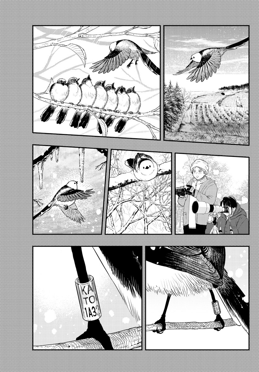 Read Last Karte FR Manga Online