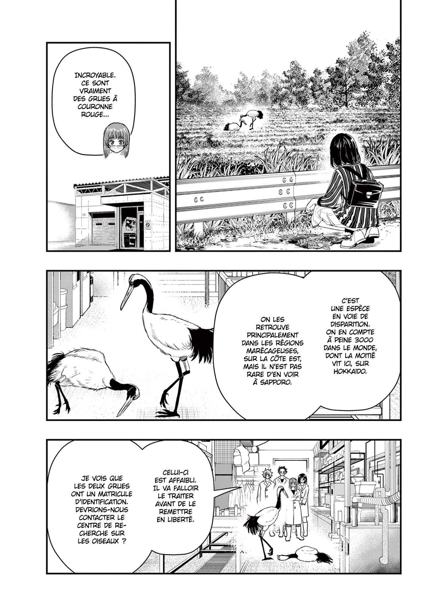 Read Last Karte FR Manga Online