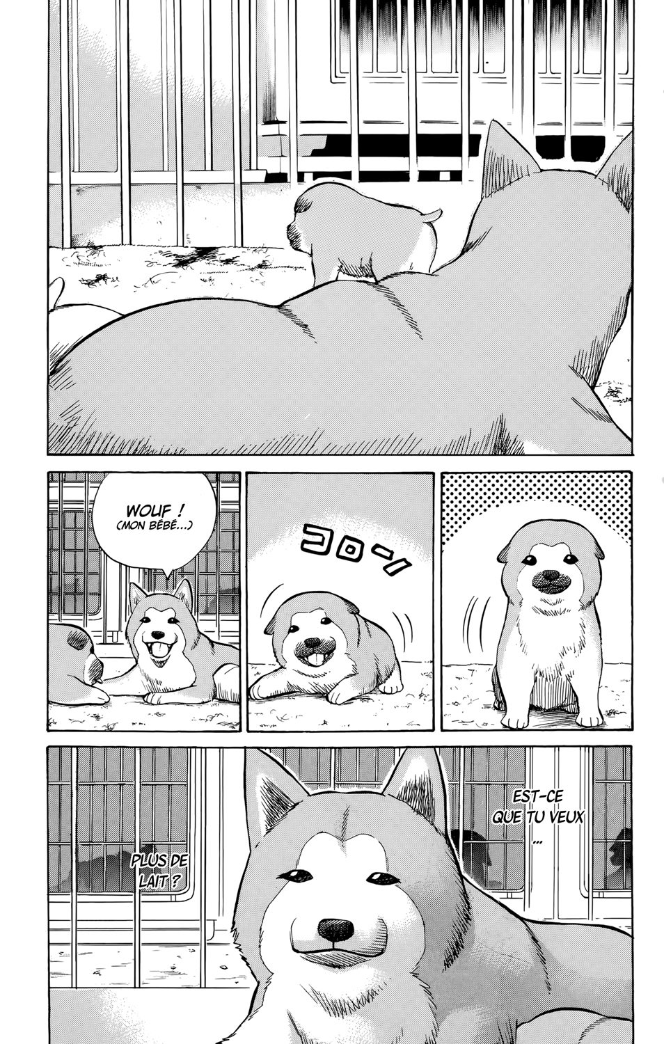 Read NANBA MG5 FR Manga Online