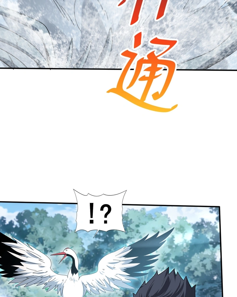 Read Profissão sem Valor Domador de Dragões (PT-BR) PT Manga Online